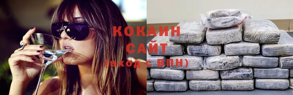 шишки Аркадак