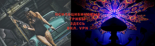 шишки Аркадак