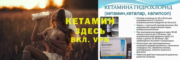 шишки Аркадак