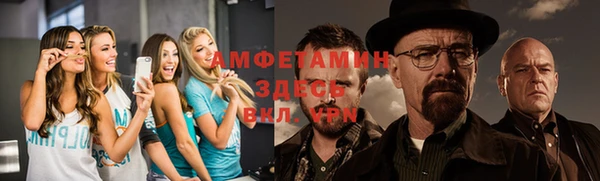 шишки Аркадак