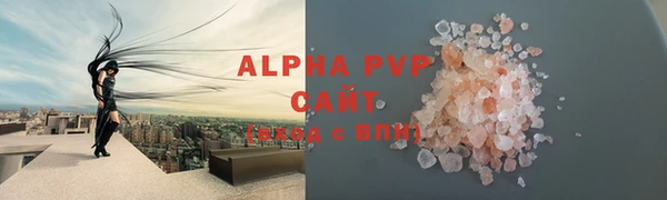 шишки Аркадак