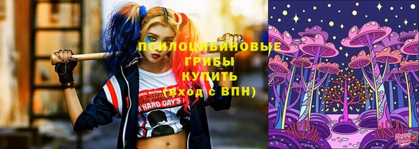 ешки Арсеньев