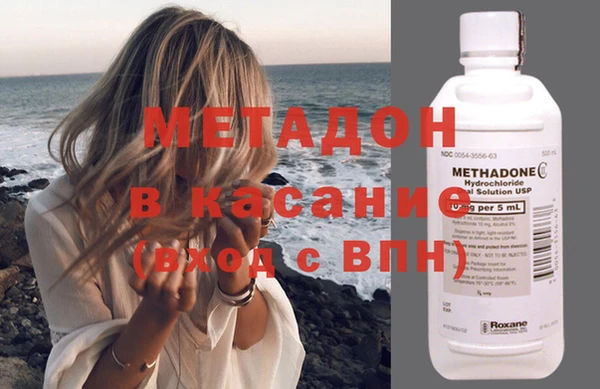 шишки Аркадак