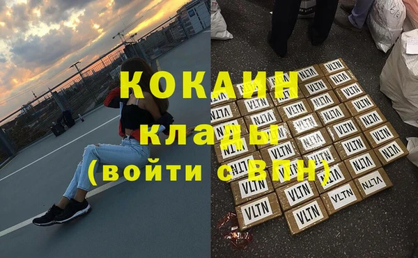 шишки Аркадак