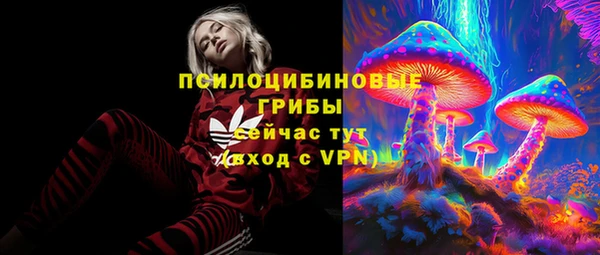 ешки Арсеньев