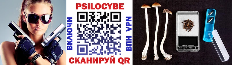 Псилоцибиновые грибы GOLDEN TEACHER сайты даркнета как зайти Саянск